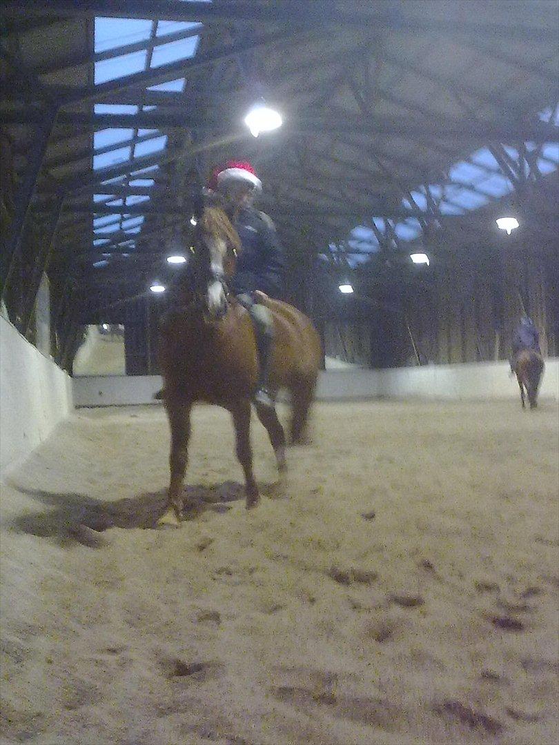 Anden særlig race Thunder Boy billede 6