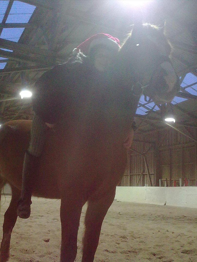 Anden særlig race Thunder Boy billede 7