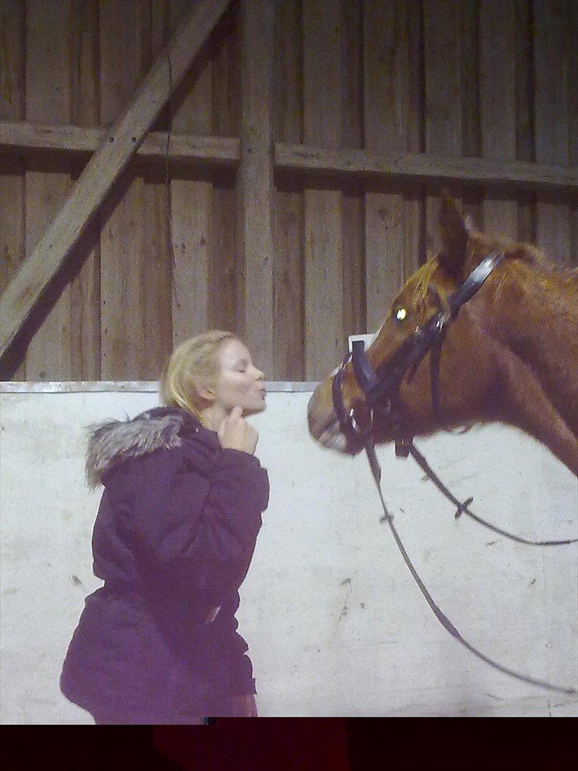 Anden særlig race Thunder Boy billede 10
