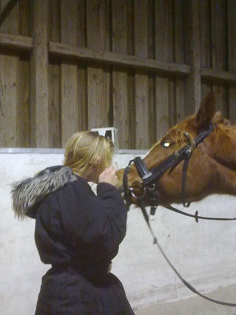 Anden særlig race Thunder Boy billede 11