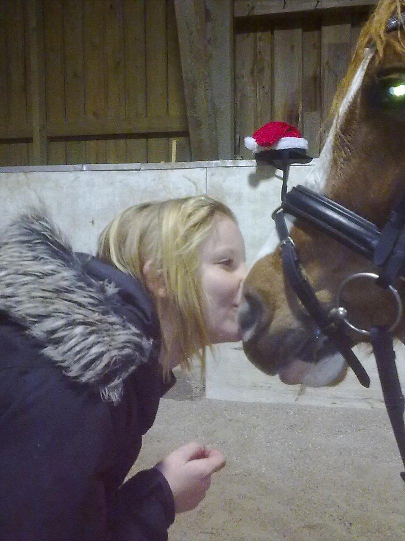 Anden særlig race Thunder Boy billede 12