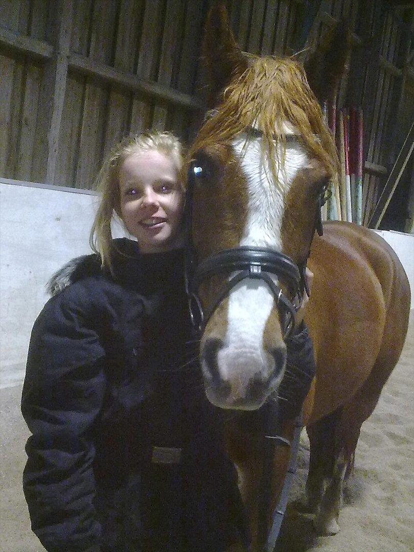 Anden særlig race Thunder Boy billede 13