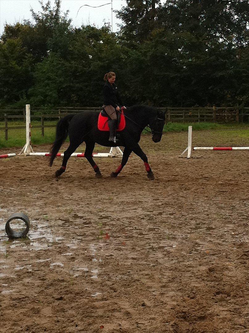 Oldenborg Titus billede 6