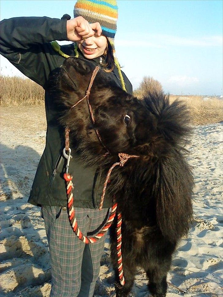 Anden særlig race Standgaardens Lucas. - Smiiiiiiiil! :p billede 2