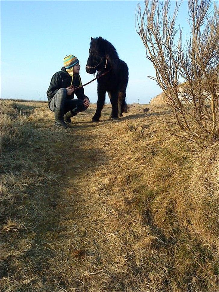 Anden særlig race Standgaardens Lucas. - Os to sammen! Lad os erobre hele verden!  billede 6