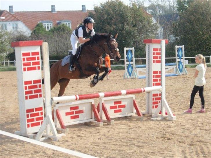 DSP Cassidy - Cassi og jeg til vores første stævne <3 

 billede 4