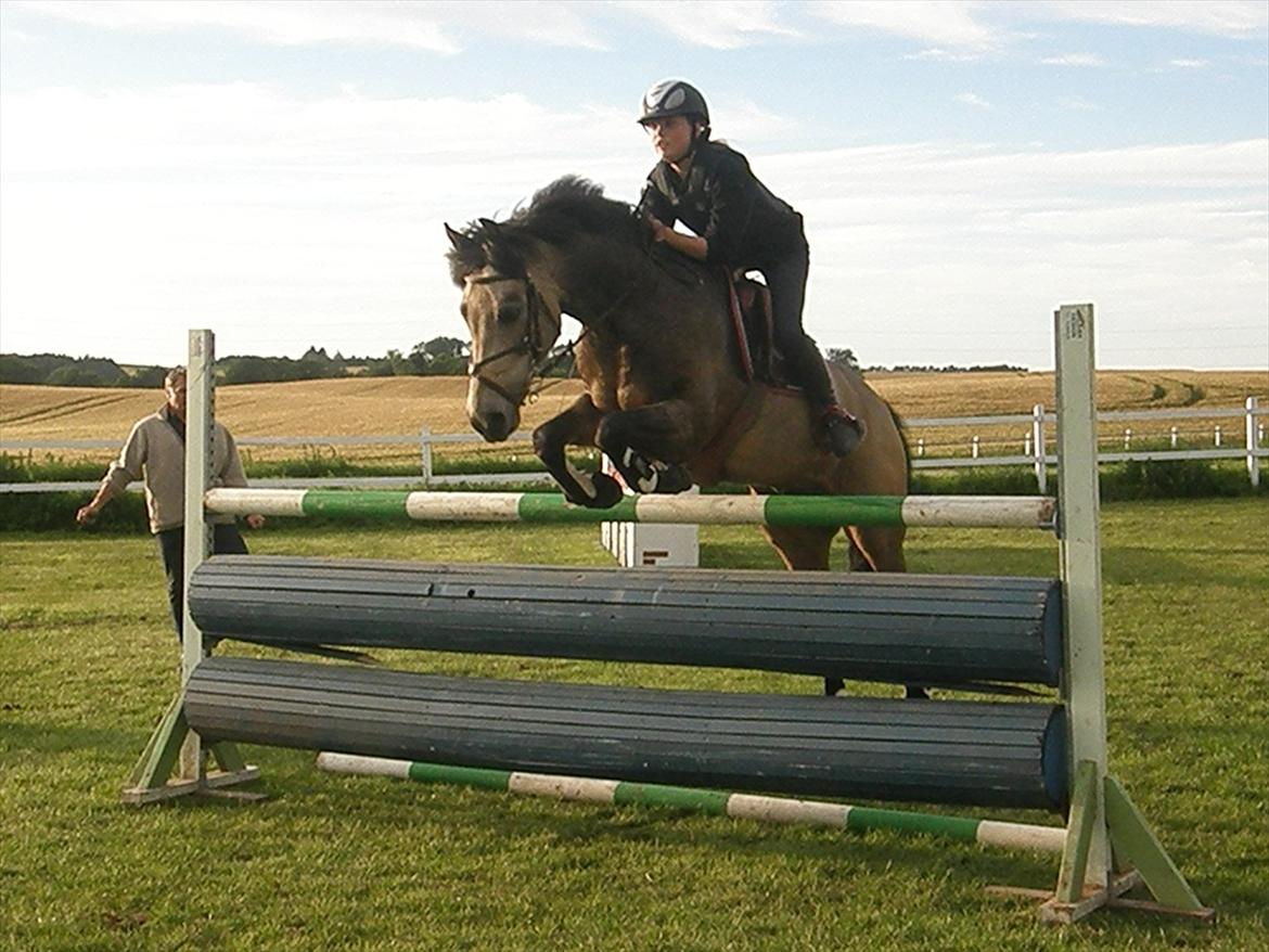 Anden særlig race Quit Pretty A-pony - Træning hos Fedder.
Ingen problemer over 135cm. billede 20