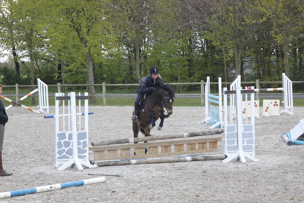 Anden særlig race Tarzan billede 3