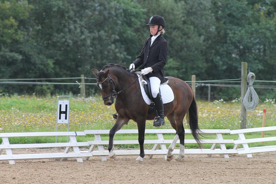 Anden særlig race Tarzan billede 4