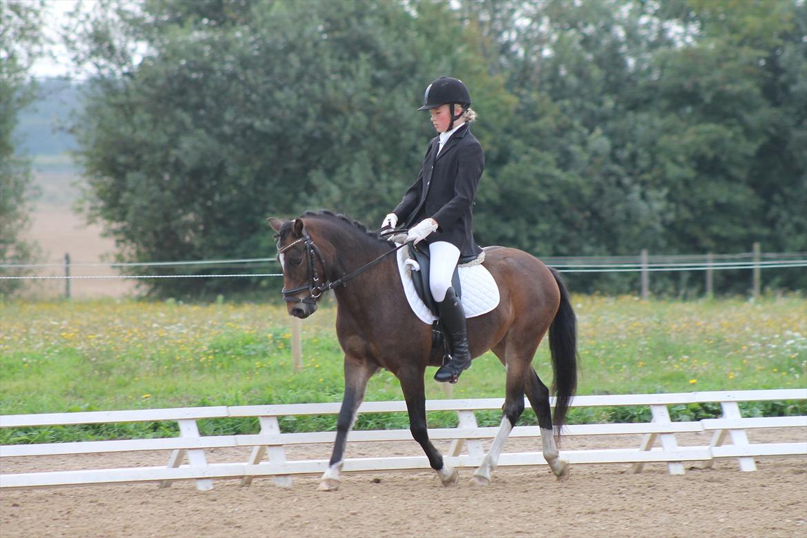 Anden særlig race Tarzan billede 5