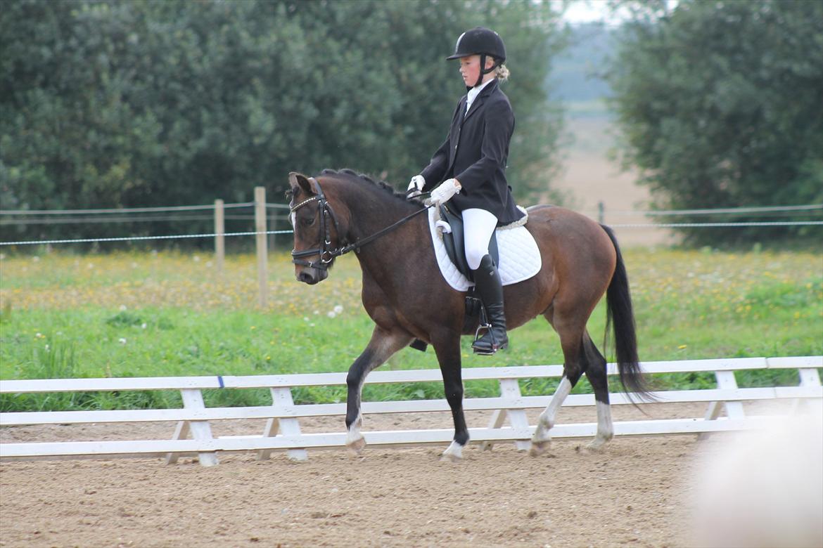 Anden særlig race Tarzan billede 6