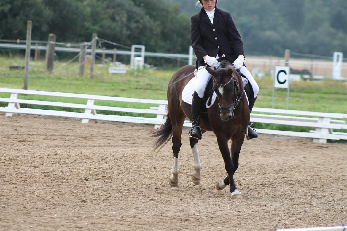 Anden særlig race Tarzan billede 7