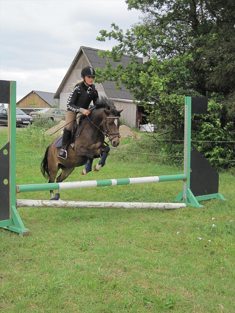 Anden særlig race Tarzan billede 11