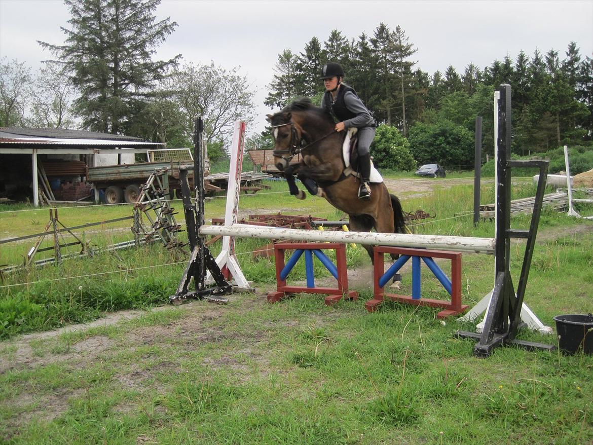 Anden særlig race Tarzan billede 14