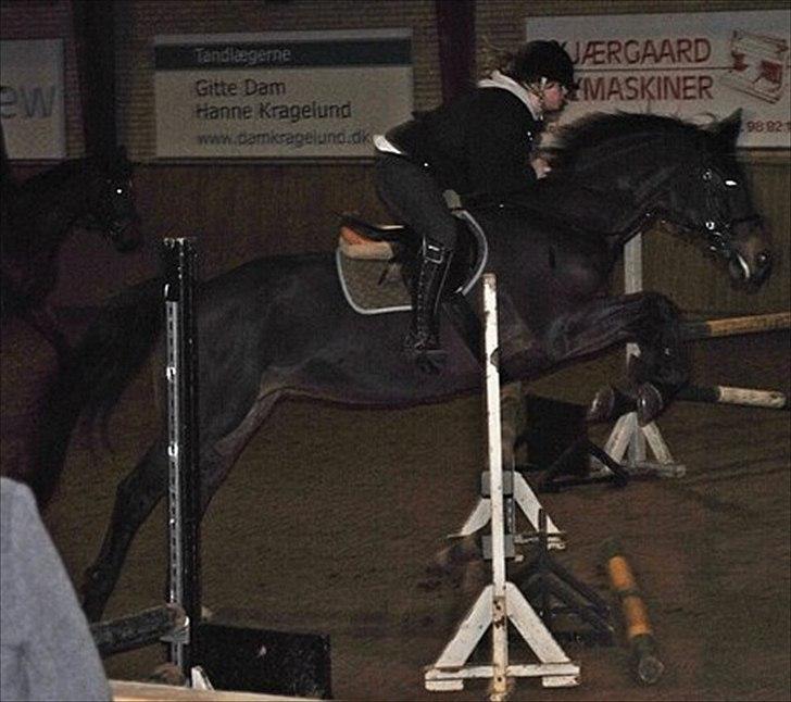 Anden særlig race TULLE-BELL - Tulle-bell <3 <3 billede 13