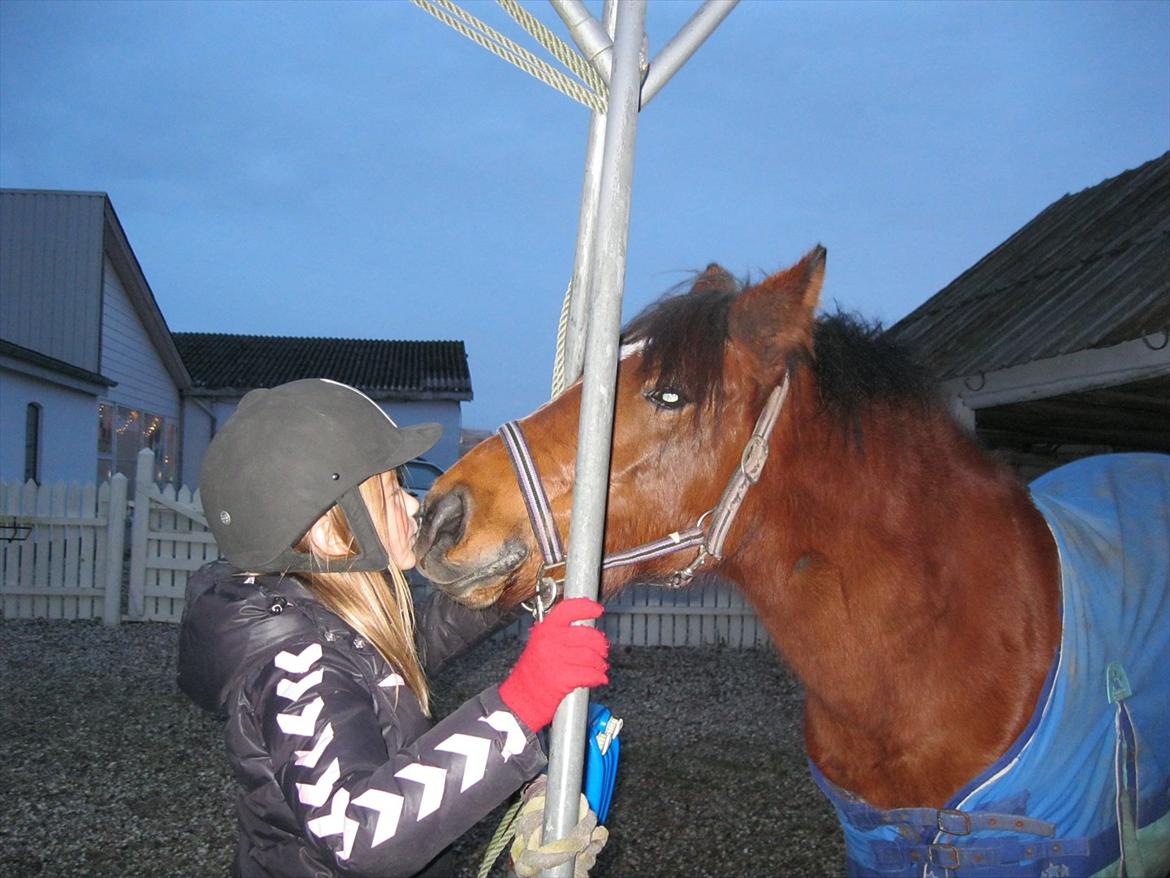 Anden særlig race Fiona (honey) -  velkommen til fionas profil <3 billede 1