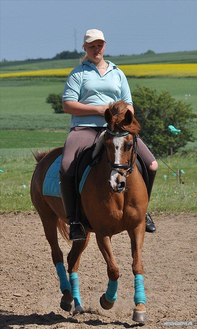 Anden særlig race Bjerregårdens Sandra - *5* Hvis man er et team, så kan man alt billede 5