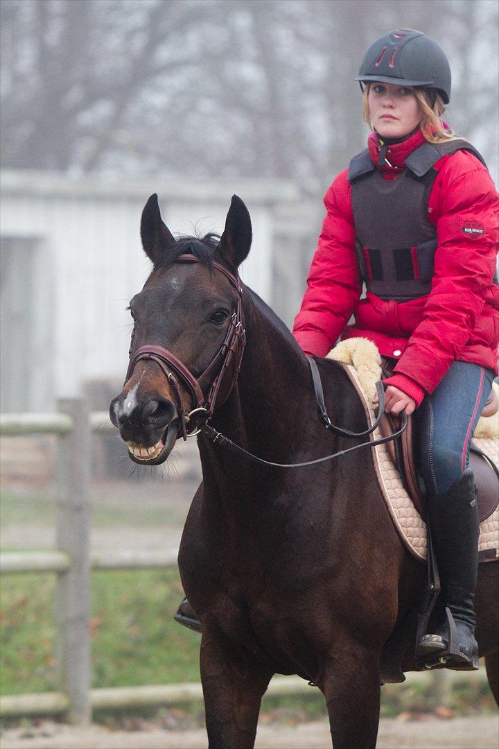 Anden særlig race Afrodite - Jeg elsker dig. billede 3