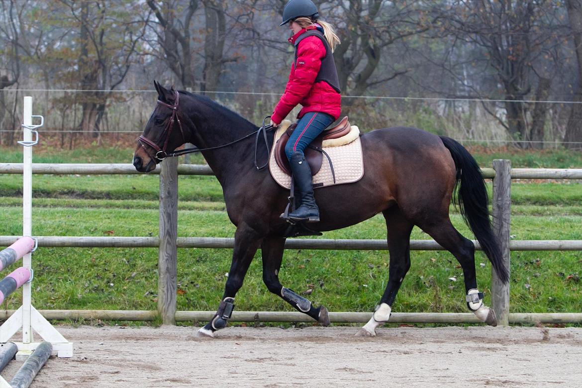 Anden særlig race Afrodite billede 5