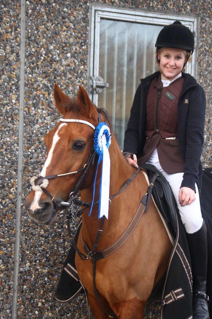 Hollandsk Sportspony Cesar solgt :( - #20. Vi har lige vundet en 2. plads i LA2** - dejligt stævne!
Fotograf: Pernille Kirstine billede 13