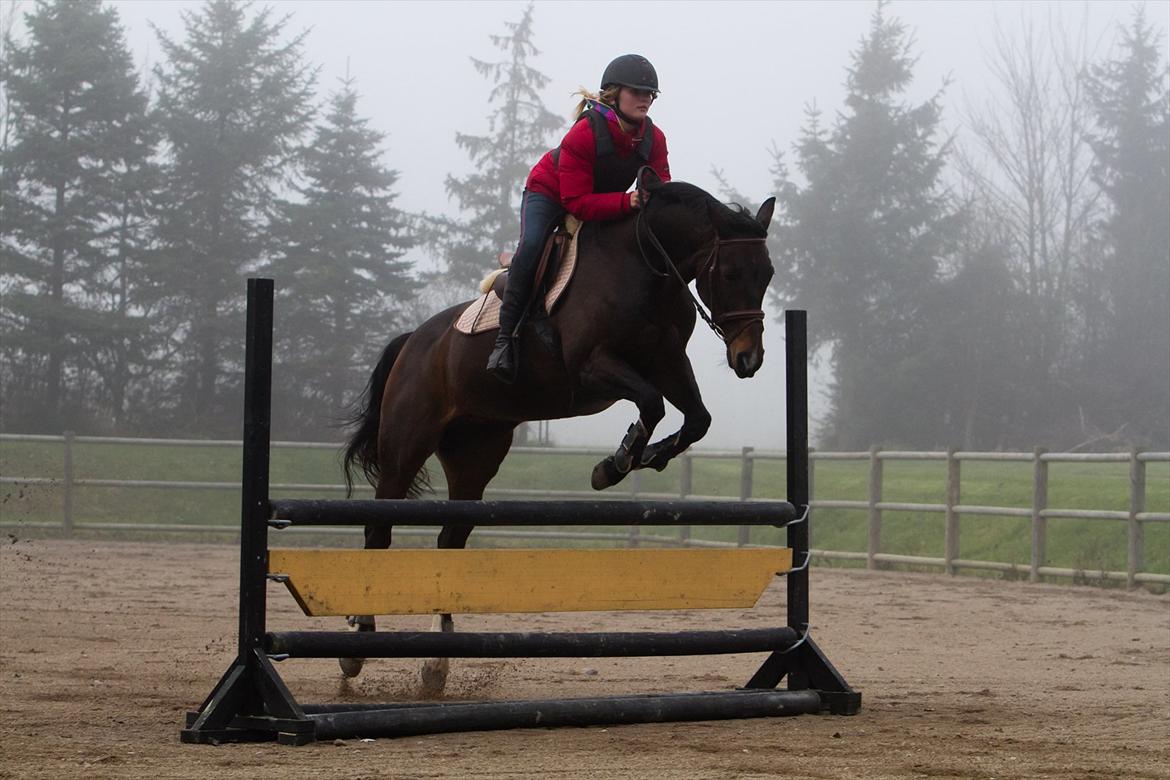 Anden særlig race Afrodite billede 7