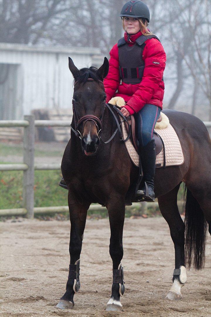 Anden særlig race Afrodite billede 8