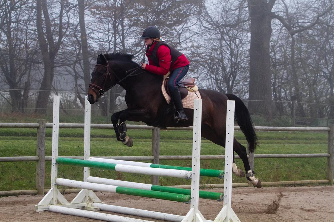 Anden særlig race Afrodite billede 11