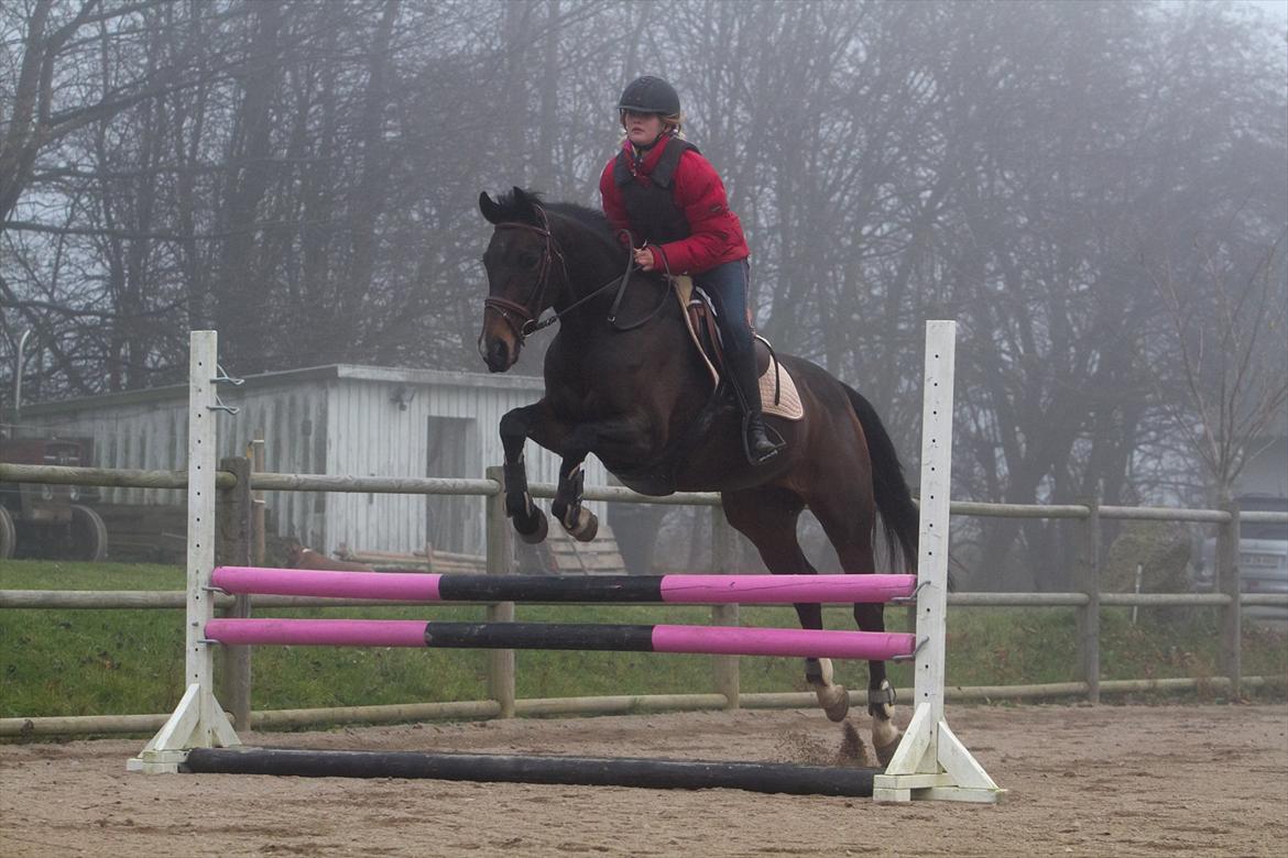 Anden særlig race Afrodite billede 12
