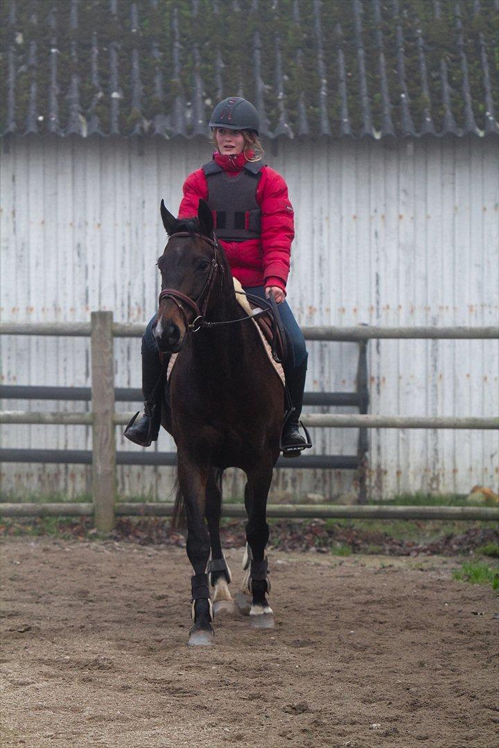 Anden særlig race Afrodite billede 14