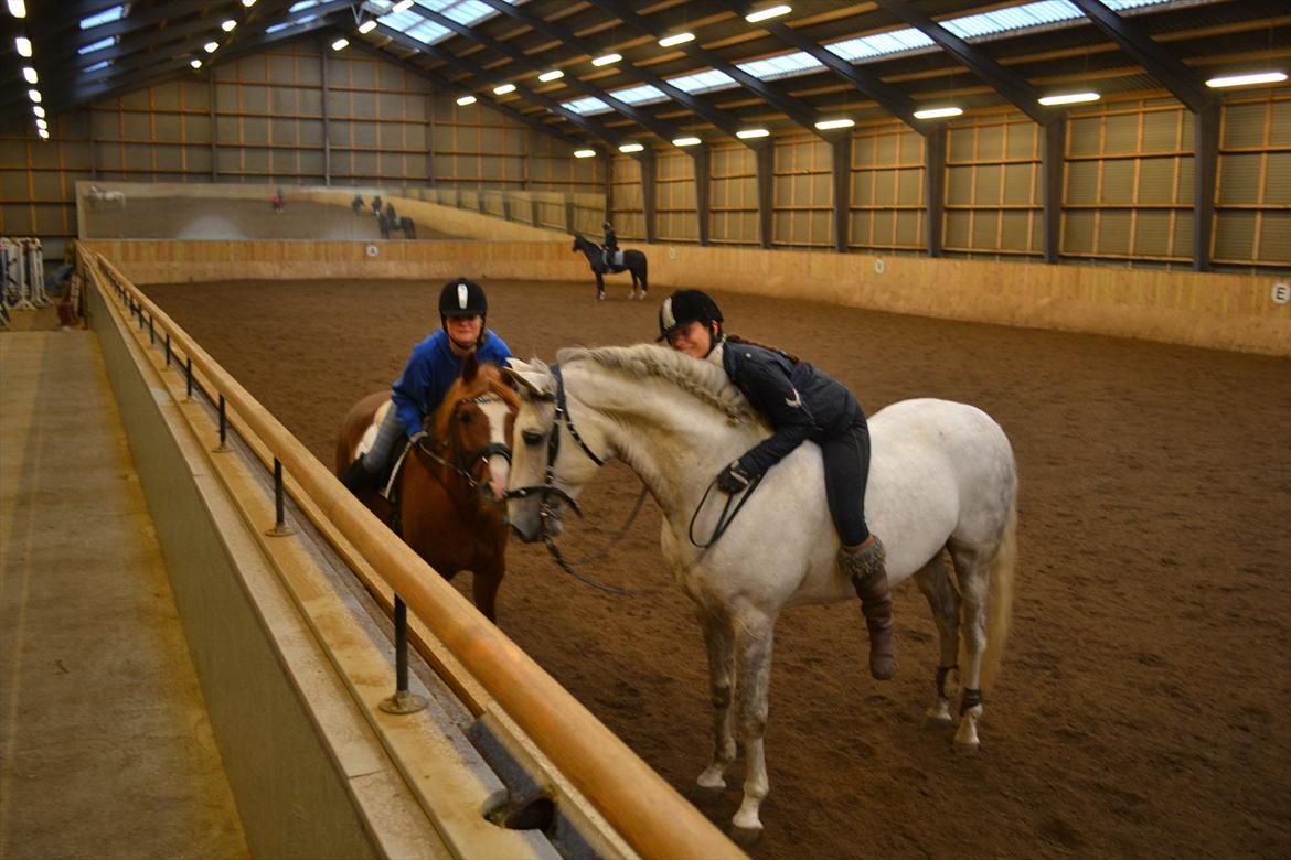 Anden særlig race Thunder Boy - Fra venstre: Pernille ( mig ) På Thunder, Amani på Zambritto :-) billede 15