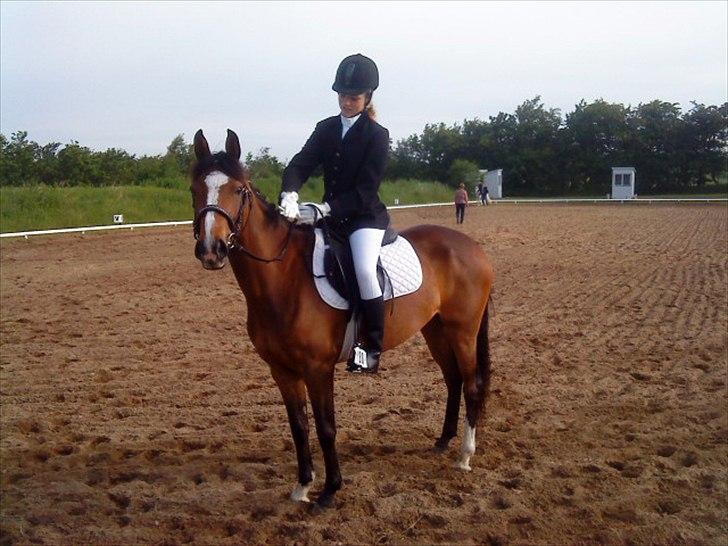 DSP Fejrupgaards Cookienelle - Cookies første stævne i VHRK - LD1 & LC1, 1. plads og 3. plads!<3. billede 6