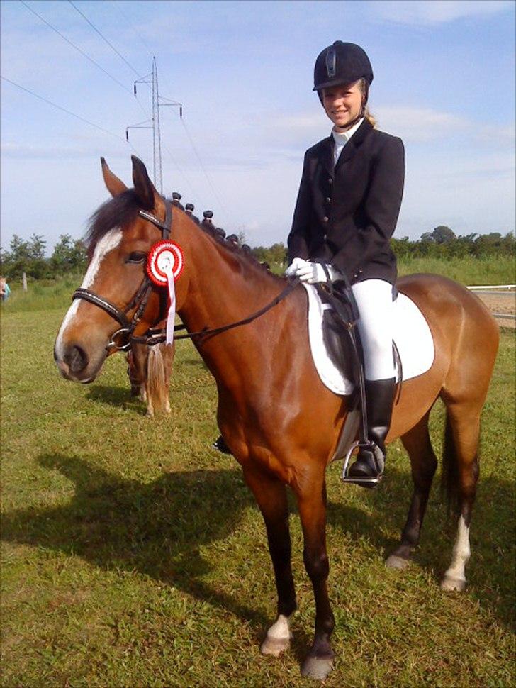 DSP Fejrupgaards Cookienelle - Alt for lækker pony - første stævne, første klasse, første plads!<3<3. billede 7