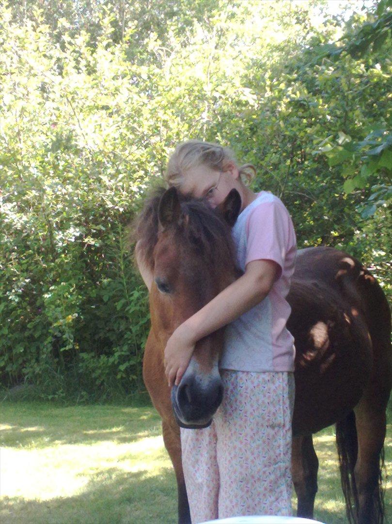 Exmoor Rasmine - Venskabet er først ægte, når to venner, uden at mæle et ord, kan glæde sig ved blot at være sammen - Juli 2011 billede 5