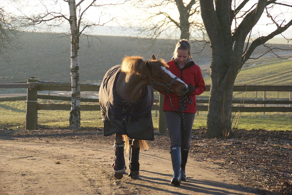 DSP Højgårds boli - Du var og vil altid være det bedste <3 billede 5