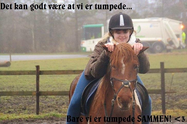 Pinto Nikita  - Det kan godt være vi er tumpede.. Bare vi er tumpede SAMMEN! <3

22 december 2011..  billede 5