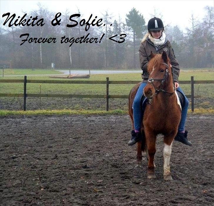 Pinto Nikita  - Sofie & Nikita - Forever together! <3

22 december 2011.. billede 3