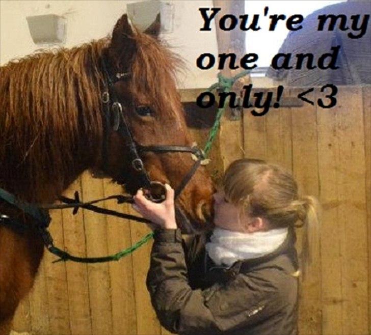 Pinto Nikita  - You're my one and only! <3

22 december 2011 billede 8