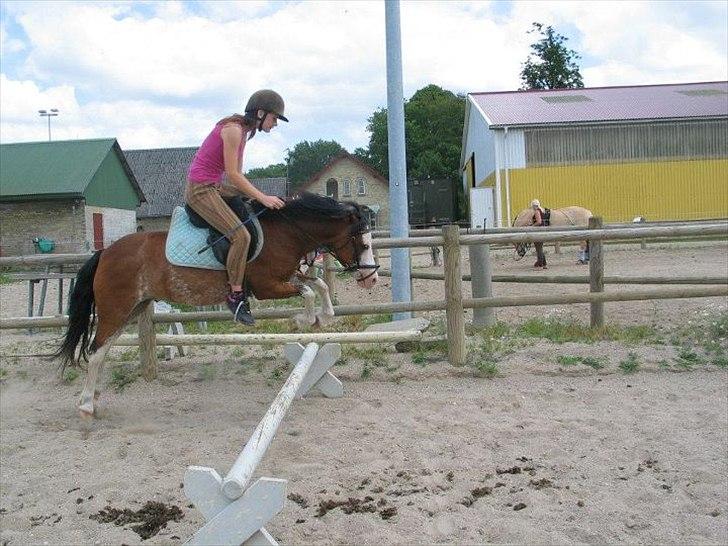 Welsh Pony (sec B) • Simba - kusinen der springer på Simba :* billede 11