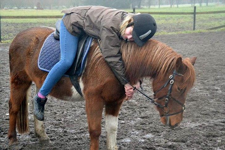 Pinto Nikita  - Jeg tror alle kan se at jeg er for stor til dig :-( Men havde jeg 40 cm, ville jeg klart sætte dem på dig!!

22 december 2011 billede 11