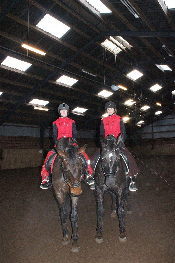 Oldenborg Cassiopeia (TUT) - Maiken&Diana og Mig&Tut, efter endt parridning til juleafslutning på Svankjær:-) billede 10