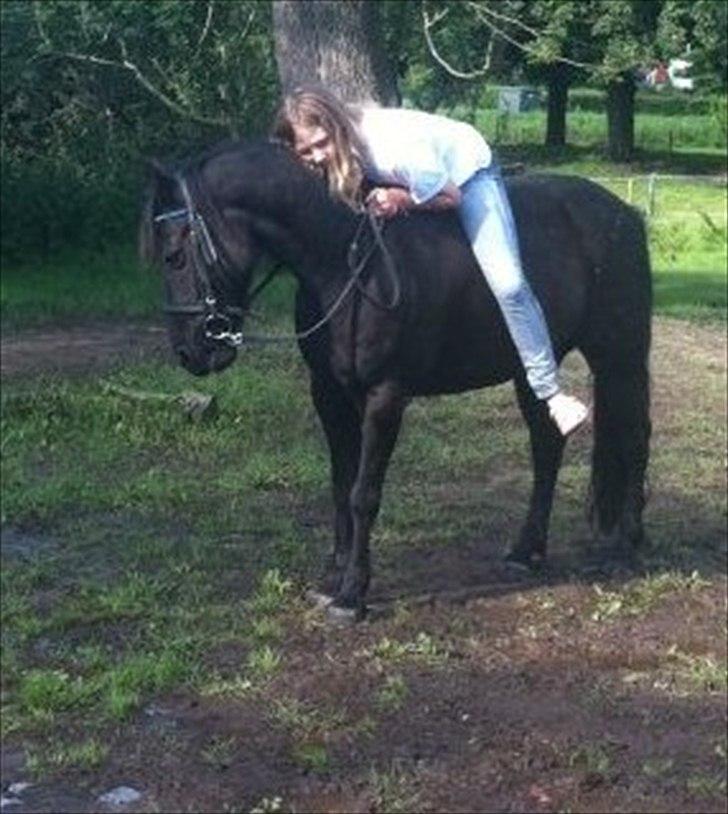 Islænder Lillelunds Nicki Junior--Min Bedsteven-- - Sommer 2011:)

Araber:D<3 billede 16