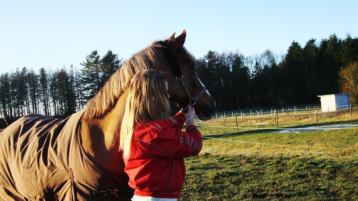 Anden særlig race Vestergårds'La Foxy. *Min spring stjerne* - Åhh, du er unbeskrivlig elsket musse:I❤. billede 10