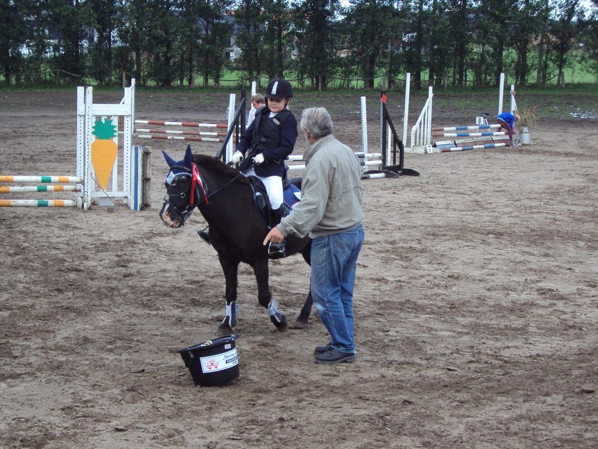 Anden særlig race Hannibal R.I.P. billede 4