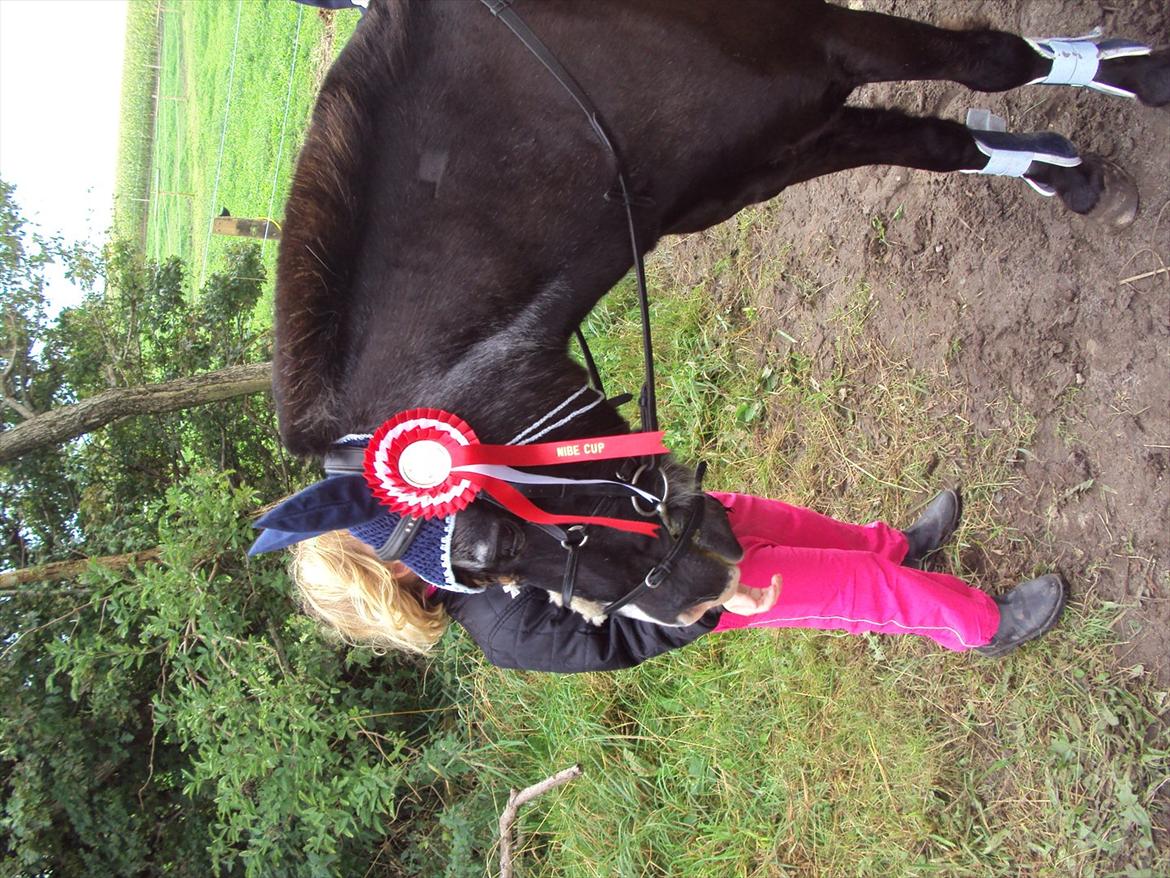 Anden særlig race Hannibal R.I.P. billede 5