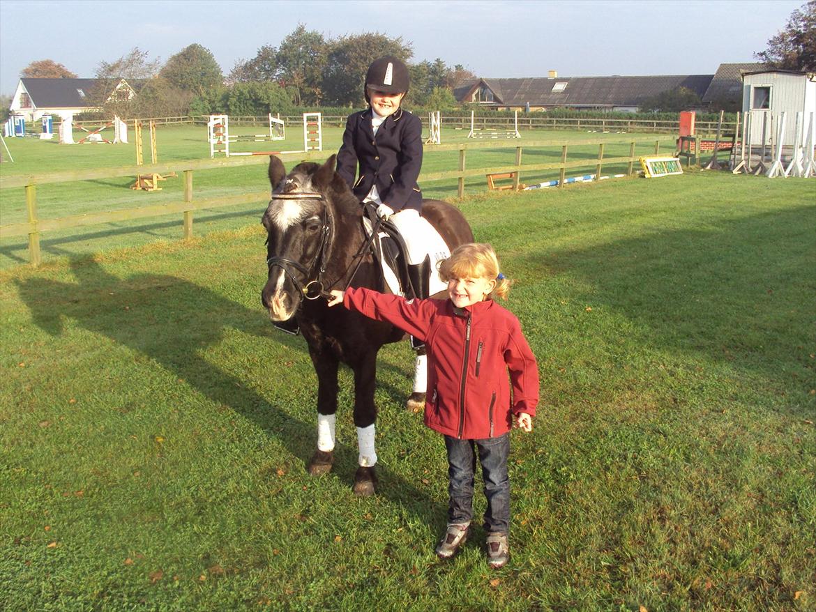 Anden særlig race Hannibal R.I.P. billede 8