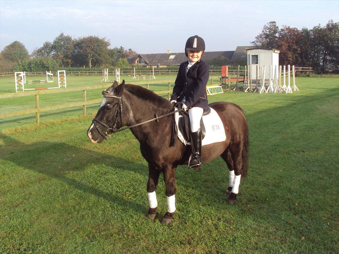 Anden særlig race Hannibal R.I.P. billede 9