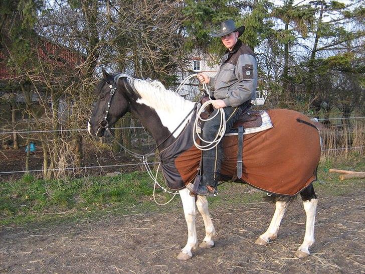 Paint **Bell-ditt** billede 3