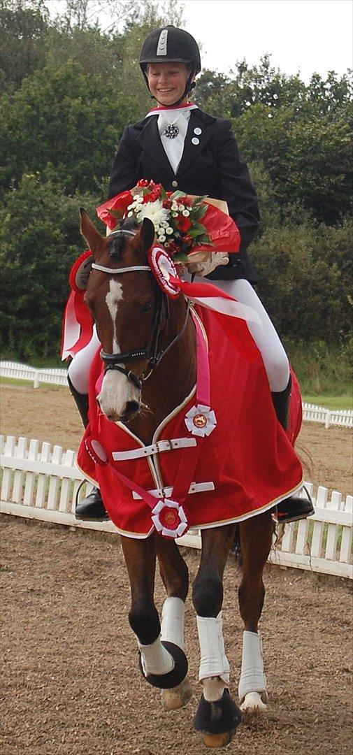 DSP Røgild´s Nikos A-pony billede 10