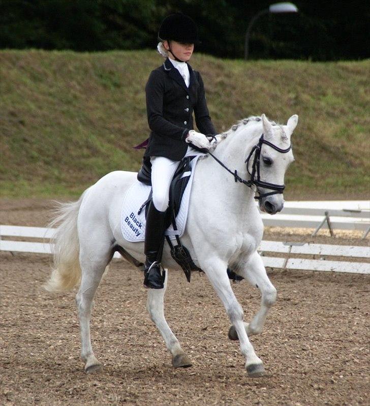 Welsh Pony (sec B) Black Beauty A-pony SOLGT <3 :,( - Mig og Budi <3 - 
DM for hold/Skærlunds design cup 2011 <3 billede 11