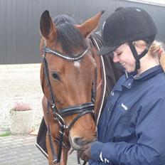 Dansk Varmblod Ninet (Horzie)